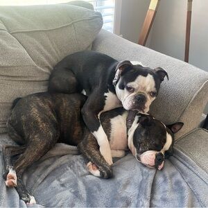 Meet your Posher, Anna